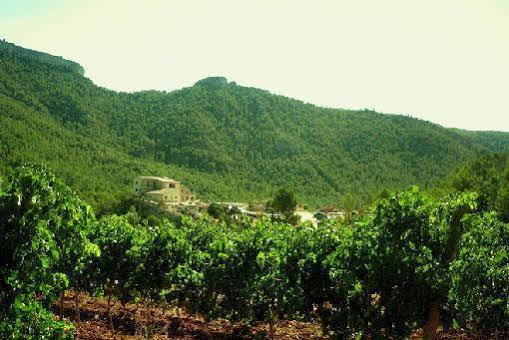 La Heredad Mas Collet Capsanes Esterno foto